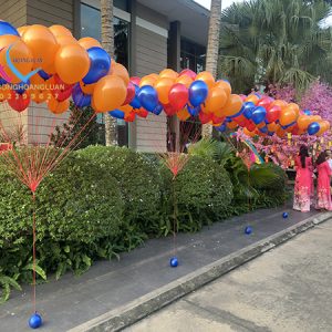 Bong Bay Khai Giang 15082024